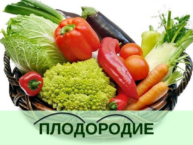 ПЛОДОРОДИЕ 