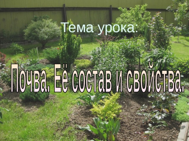 Тема урока: 