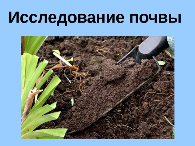 Исследование почвы 