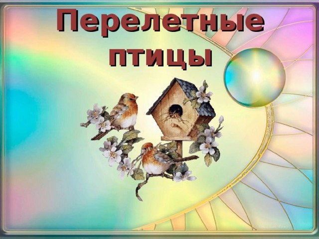 Перелетные птицы 