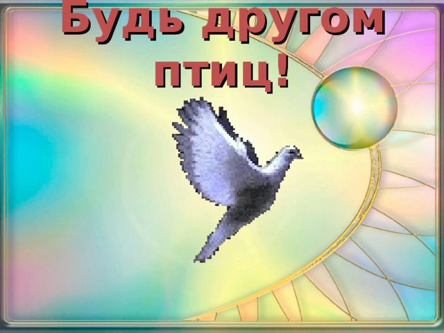 Будь другом птиц! 