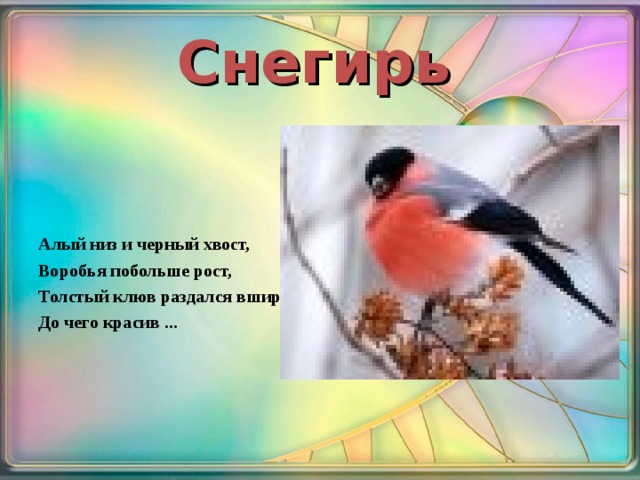 Снегирь  Алый низ и черный хвост, Воробья побольше рост, Толстый клюв раздался вширь – До чего красив ... 