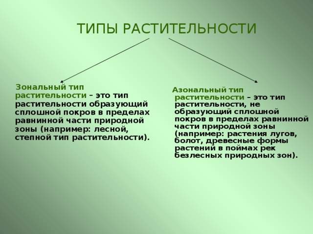 Почему растительность не образует сплошного покрова