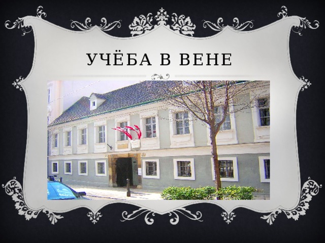Учёба в Вене  