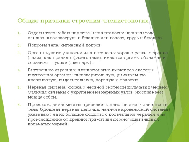 Общие признаки строения членистоногих Отделы тела: у большинства членистоногих членики тела слились в головогрудь и брюшко или голову, грудь и брюшко. Покровы тела: хитиновый покров Органы чувств: у многих членистоногих хорошо развито зрение (глаза, как правило, фасеточные), имеются органы обоняния и осязания — усики (две пары). Внутреннее строение: членистоногие имеют все системы внутренних органов: пищеварительную, дыхательную, кровеносную, выделительную, нервную и половую. Нервная система: схожа с нервной системой кольчатых червей. Отличия связаны с укрупнением нервных узлов, их слиянием между собой. Происхождение: многие признаки членистоногих (членистость тела, брюшная нервная цепочка, наличие кровеносной системы) указывают на их большое сходство с кольчатыми червями и на происхождение от древних примитивных многощетинковых кольчатых червей. 