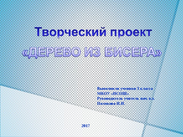 Выполнили ученики 3 класса МКОУ «НСОШ» Руководитель учитель нач. кл. Полякова И.И. 2017    