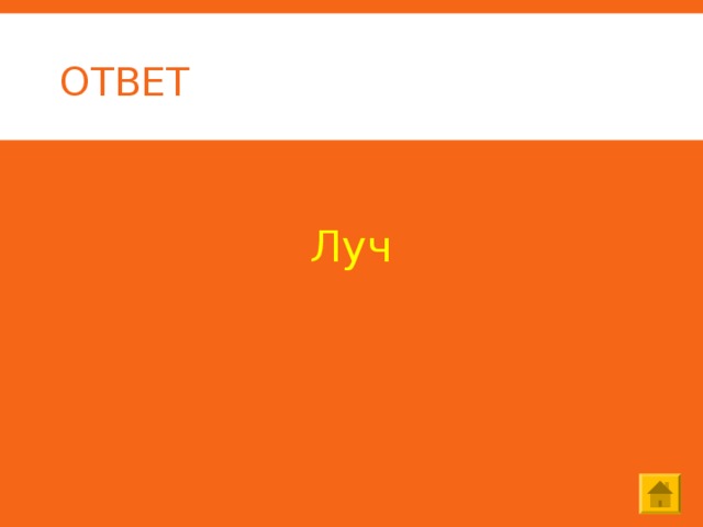 ОТВЕТ  Луч 