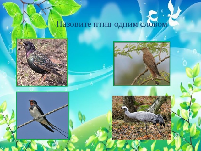  Назовите птиц одним словом 