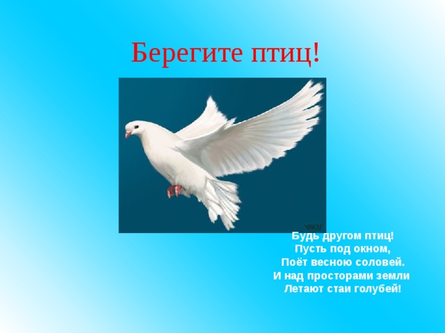 Берегите птиц!      Будь другом птиц! Пусть под окном, Поёт весною соловей. И над просторами земли Летают стаи голубей! 