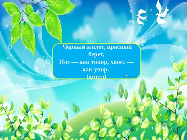  Чёрный жилет, красный берет,  Нос — как топор, хвост — как упор. (дятел) 
