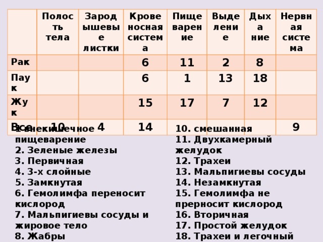 Полость тела Рак Паук Зародышевые листки Жук Крове носная система Пищеварение Все 6 Выделение 10 11 6 Дыха 2 1 15 4 13 17 ние 8 14 Нервная система 18 7 12 9 1 внекишечное пищеварение 10. смешанная 2. Зеленые железы 11. Двухкамерный желудок 3. Первичная 12. Трахеи 13. Мальпигиевы сосуды 4. 3-х слойные 5. Замкнутая 14. Незамкнутая 6. Гемолимфа переносит кислород 15. Гемолимфа не прерносит кислород 16. Вторичная 7. Мальпигиевы сосуды и жировое тело 17. Простой желудок 8. Жабры 9. Брюшная нервная цепочка 18. Трахеи и легочный мешок 