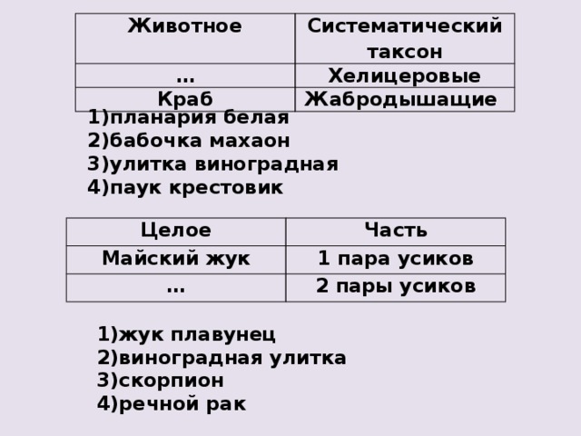 Животное Систематический таксон … Хелицеровые Краб Жабродышащие 1)планария белая 2)бабочка махаон 3)улитка виноградная 4)паук крестовик Целое Майский жук Часть … 1 пара усиков 2 пары усиков 1)жук плавунец 2)виноградная улитка 3)скорпион 4)речной рак 