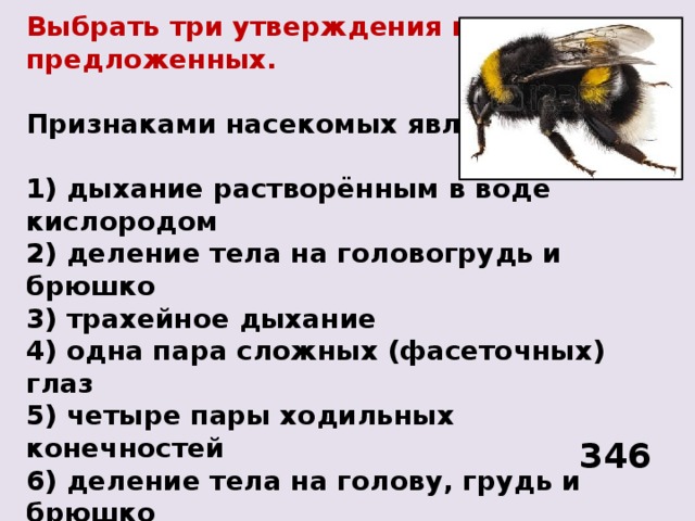 Вставьте в текст характерные признаки насекомых пропущенные. Признаками насекомых являются. Отличительным признаком насекомых является:. Признаками класса насекомых являются:. Три признака насекомых.