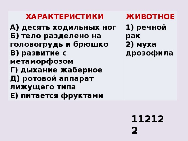 Тело разделено. Десять ходильных ног тело разделено на головогрудь и брюшко. Муха дрозофила тело разделено на головогрудь и брюшко. Десять ходильных ног. Имеет 10 ходильных ног.