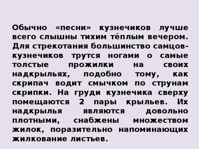 Обычно «песни» кузнечиков лучше всего слышны тихим тёплым вечером. Для стрекотания большинство самцов-кузнечиков трутся ногами о самые толстые прожилки на своих надкрыльях, подобно тому, как скрипач водит смычком по струнам скрипки. На груди кузнечика сверху помещаются 2 пары крыльев. Их надкрылья являются довольно плотными, снабжены множеством жилок, поразительно напоминающих жилкование листьев. 