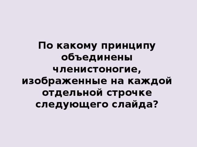 По какому принципу объединены членистоногие, изображенные на каждой отдельной строчке следующего слайда? 