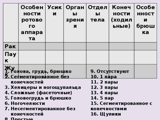 Особенности ротового аппарата Рак Паук Усики Жук Органы зрения Отделы тела Конечности (ходильные)  Особенности брюшка Голова, грудь, брюшко Сегментированное без конечностей Хелицеры и ногощупальца Сложные (фасеточные) Головогрудь и брюшко Ногочелюсти Несегментированное без конечностей Простые 9. Отсутствуют 10. 1 пара 11. 2 пары 12. 3 пары 13. 4 пары 14. 5 пар 15. Сегментированное с конечностями 16. Щупики 