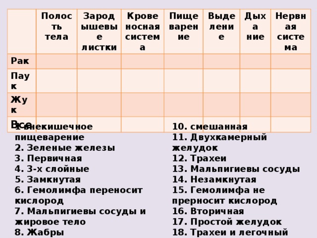 Полость тела Рак Паук Зародышевые листки Жук Крове носная система Пищеварение Все Выделение Дыха ние Нервная система 10. смешанная 1 внекишечное пищеварение 2. Зеленые железы 11. Двухкамерный желудок 12. Трахеи 3. Первичная 13. Мальпигиевы сосуды 4. 3-х слойные 5. Замкнутая 14. Незамкнутая 6. Гемолимфа переносит кислород 15. Гемолимфа не прерносит кислород 7. Мальпигиевы сосуды и жировое тело 16. Вторичная 8. Жабры 17. Простой желудок 9. Брюшная нервная цепочка 18. Трахеи и легочный мешок 