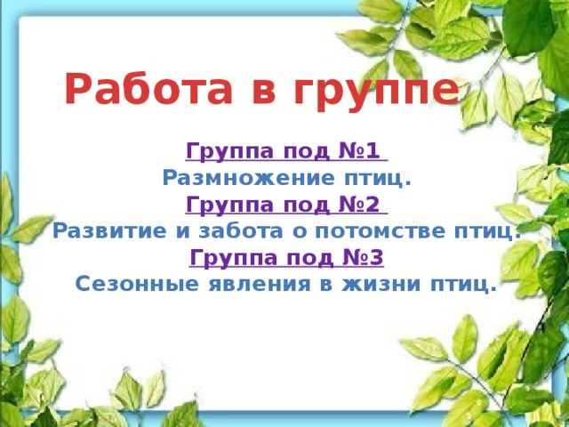 Работа в группе Группа под №1 Размножение птиц. Группа под №2 Развитие и забота о потомстве птиц. Группа под №3 Сезонные явления в жизни птиц. 