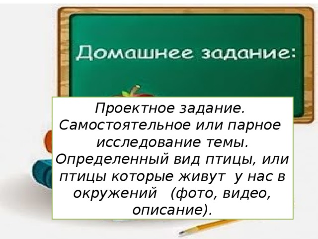 Проектное задание. Самостоятельное или парное исследование темы. Определенный вид птицы, или птицы которые живут у нас в окружений (фото, видео, описание). 