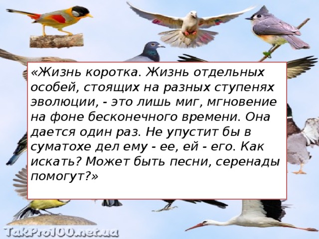 «Жизнь коротка. Жизнь отдельных особей, стоящих на разных ступенях эволюции, - это лишь миг, мгновение на фоне бесконечного времени. Она дается один раз. Не упустит бы в суматохе дел ему - ее, ей - его. Как искать? Может быть песни, серенады помогут?»  