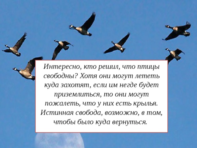 Интересно, кто решил, что птицы свободны? Хотя они могут лететь куда захотят, если им негде будет приземлиться, то они могут пожалеть, что у них есть крылья. Истинная свобода, возможно, в том, чтобы было куда вернуться.  