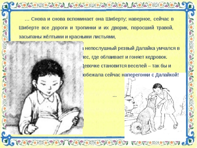 … Снова и снова вспоминает она Шиберту; наверное, сейчас в Шиберте все дороги и тропинки и их дворик, поросший травой, засыпаны жёлтыми и красными листьями, а непослушный резвый Далайка умчался в лес, где облаивает и гоняет кедровок. Девочке становится веселей – так бы и побежала сейчас наперегонки с Далайкой!  ...