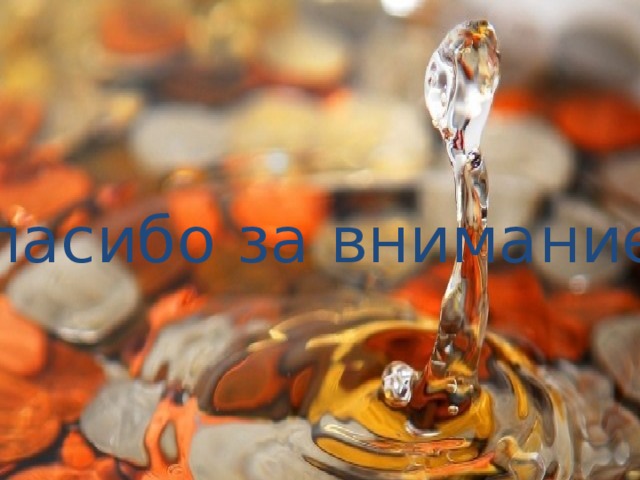 Спасибо за внимание ! 