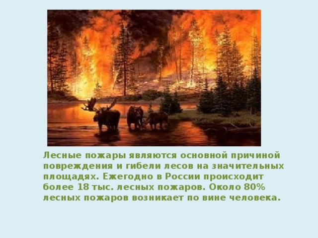 Лесные пожары являются основной причиной повреждения и гибели лесов на значительных площадях. Ежегодно в России происходит более 18 тыс. лесных пожаров. Около 80% лесных пожаров возникает по вине человека. 