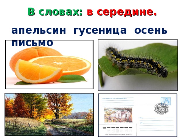 В словах: в середине.   апельсин гусеница осень письмо 