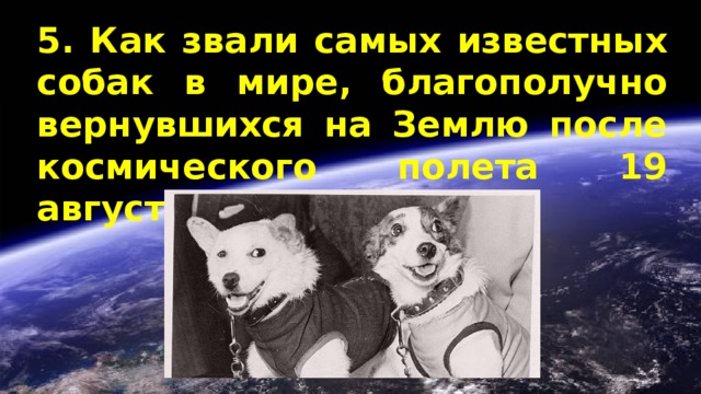 5. Как звали самых известных собак в мире, благополучно вернувшихся на Землю после космического полета 19 августа 1960 года? 
