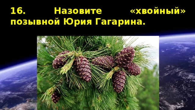 16. Назовите «хвойный» позывной Юрия Гагарина. 