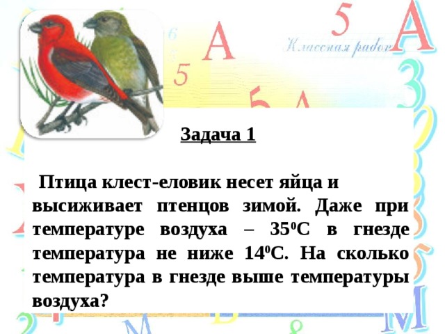 Задача 1    Птица клест-еловик несет яйца и высиживает птенцов зимой. Даже при температуре воздуха – 35 0 С в гнезде температура не ниже 14 0 С. На сколько температура в гнезде выше температуры воздуха? 