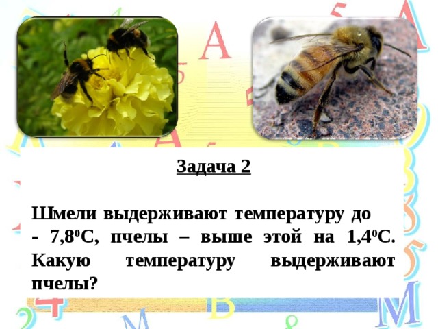 Задача 2 Шмели выдерживают температуру до - 7,8 0 С, пчелы – выше этой на 1,4 0 С. Какую температуру выдерживают пчелы? 