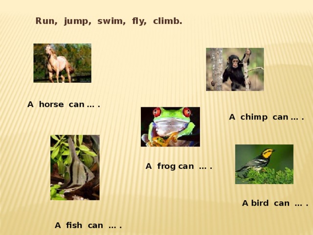 Run, jump, swim, fly, climb. A horse can … . A chimp can … . A frog can … . A bird can … . A fish can … . 