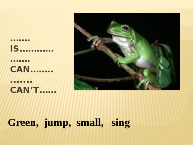 …… . Is…………  ……. Can……..  ....... Can’t…… Green, jump, small, sing 