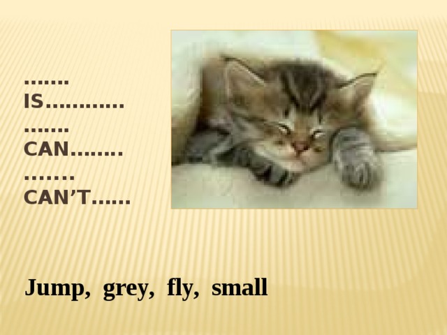 …… . Is…………  ……. Can……..  ....... Can’t……   Jump, grey, fly, small 