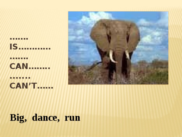 …… . Is…………  ……. Can……..  ....... Can’t…… Big, dance, run 