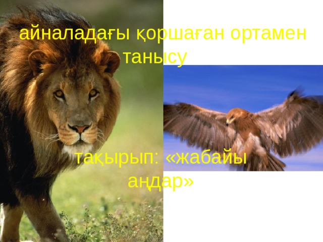 Ресей мүшесі