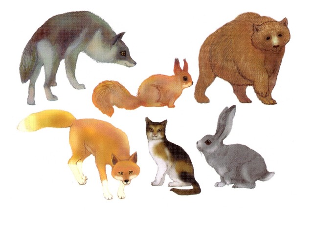 лесные животные. Larsen пазл европейский лес. аңдар шахары. лесные животные для детей. животные леса.