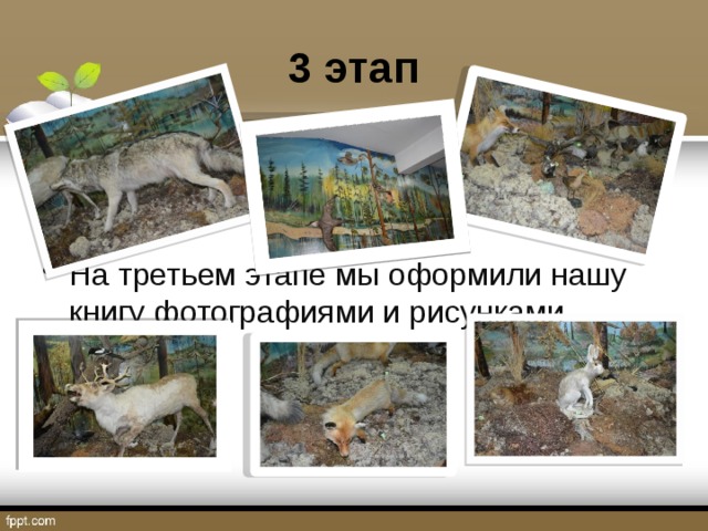 3 этап На третьем этапе мы оформили нашу книгу фотографиями и рисунками 