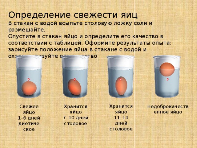 Определение свежести яиц В стакан с водой всыпьте столовую ложку соли и размешайте. Опустите в стакан яйцо и определите его качество в соответствии с таблицей. Оформите результаты опыта: зарисуйте положение яйца в стакане с водой и охарактеризуйте его качество Хранится яйцо 11–14 дней столовое Недоброкачественное яйцо Хранится яйцо 7–10 дней столовое Свежее яйцо 1–6 дней диетическое