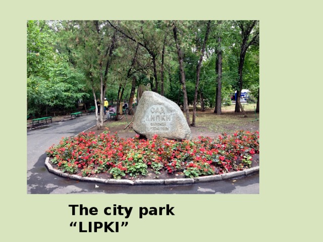 The city park “LIPKI” 