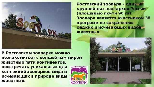 Презентация ростовский зоопарк