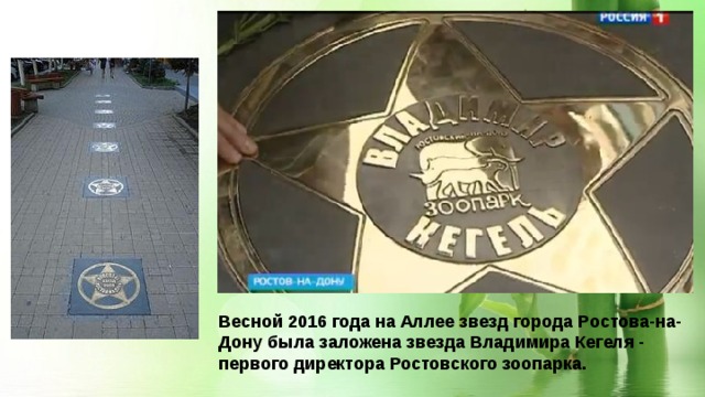 Весной 2016 года на Аллее звезд города Ростова-на-Дону была заложена звезда Владимира Кегеля - первого директора Ростовского зоопарка. 