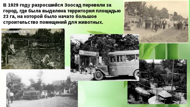 В 1929 году разросшийся Зоосад перевели за город, где была выделена территория площадью 23 га, на которой было начато большое строительство помещений для животных. 