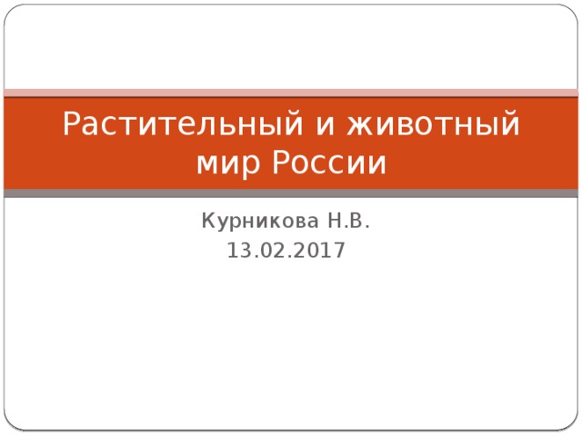 Растительный и животный мир России Курникова Н.В. 13.02.2017