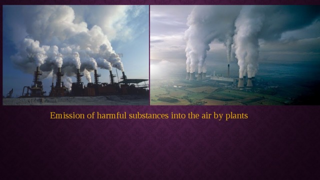 Emission of harmful substances into the air by plants 