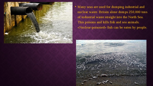 Many seas are used for dumping industrial and nuclear waste. Britain alone dumps 250,000 tons of industrial waste straight into the North Sea. This poisons and kills fish and sea animals. «Nuclear-poisoned» fish can be eaten by people. 