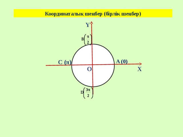 Координаталық шеңбер (бірлік шеңбер) Y A (0) C (π) X O 